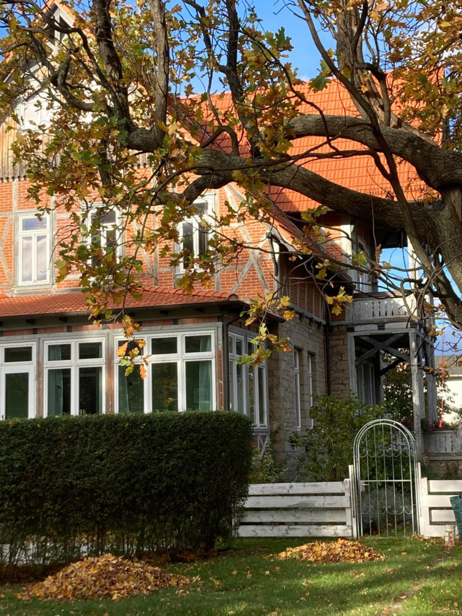 Gaestehaus Musestieg Thale Eksteriør billede